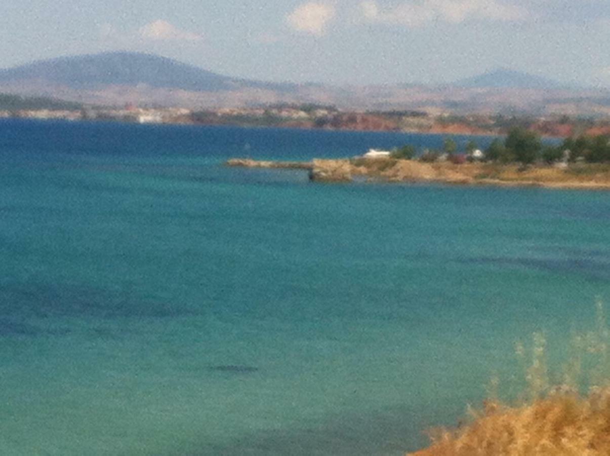 Magnificent Seascape Villa On A Secluded Beach ネア・ムダニア エクステリア 写真