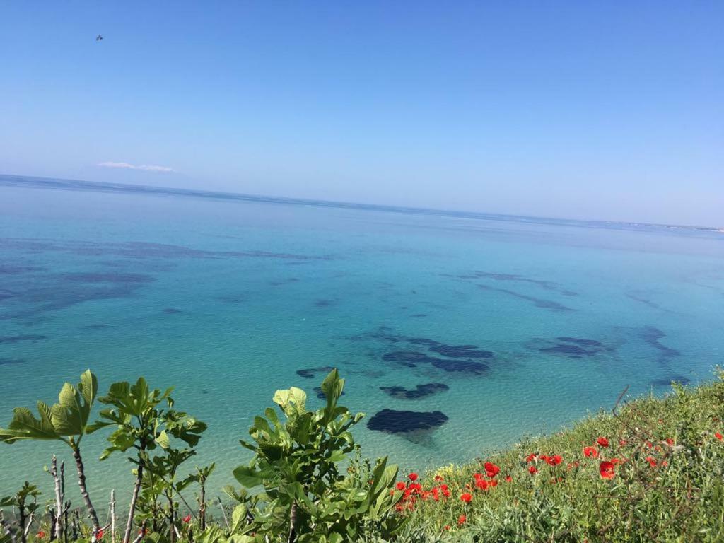 Magnificent Seascape Villa On A Secluded Beach ネア・ムダニア エクステリア 写真